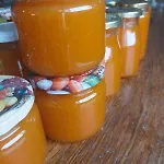 Sunny Valley Проживание в семье