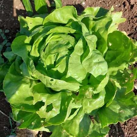 Sunny Valley Δωμάτια σε οικογενειακή κατοικία *