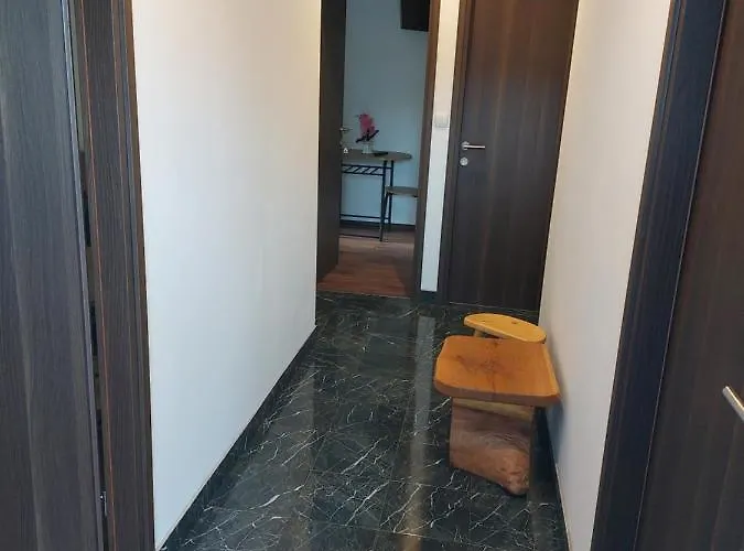 Sunny Valley Проживание в семье