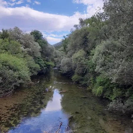 Sunny Valley Проживание в семье Грачац