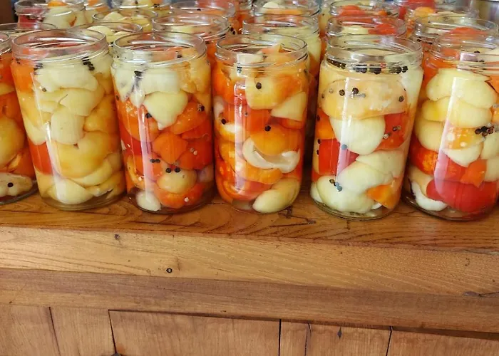 Sunny Valley 홈스테이